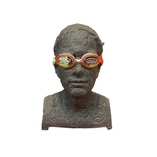 عینک شنا برند phoenix